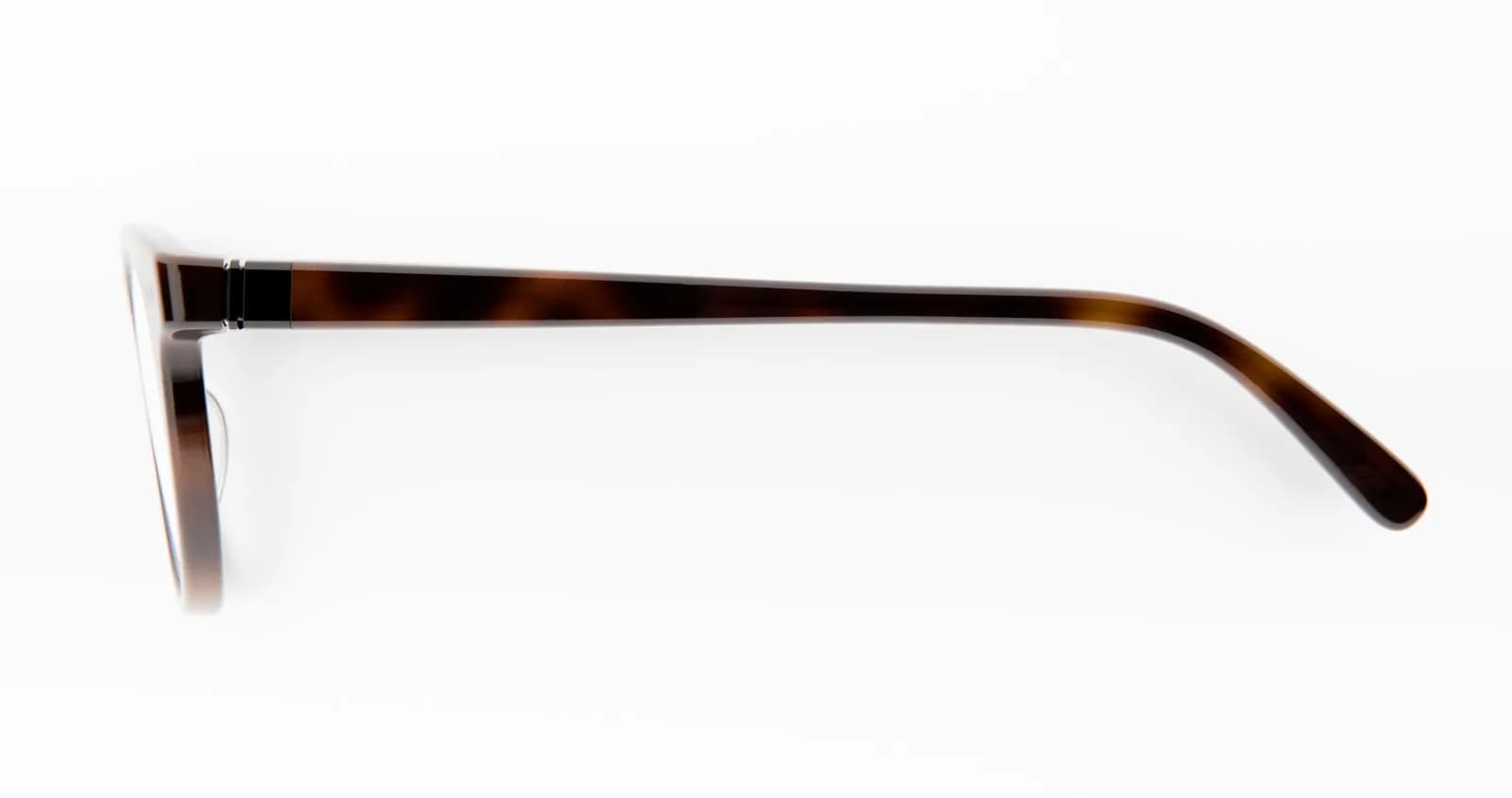 Haste da IXI Adaptive Eyewear em acetato tartaruga com dobradiça prateada, em close com a frente da armação desfocada ao fundo.